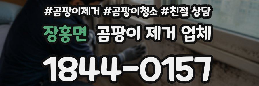 장흥면 곰팡이 제거 업체