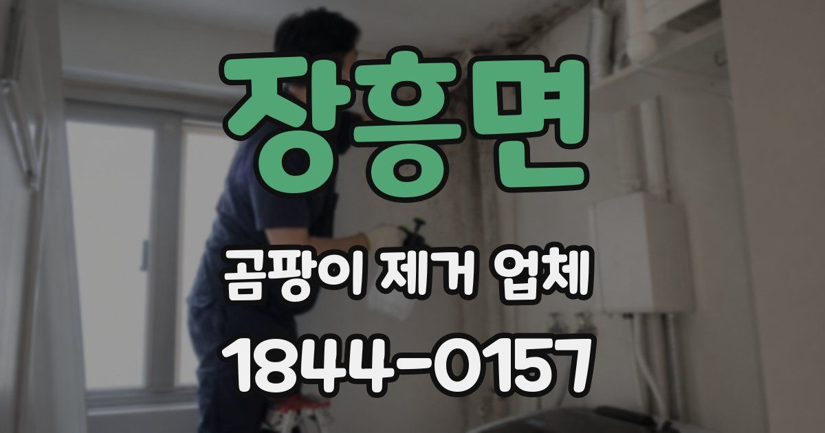 장흥면 곰팡이 제거 업체
