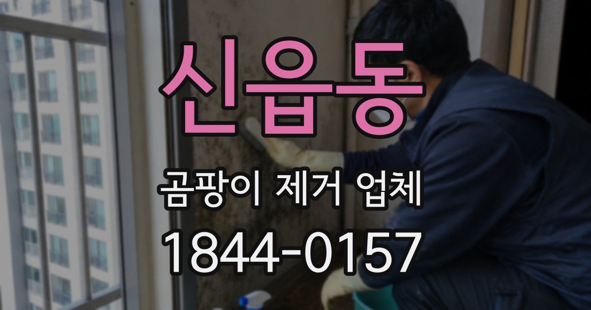 신읍동 곰팡이 제거 업체