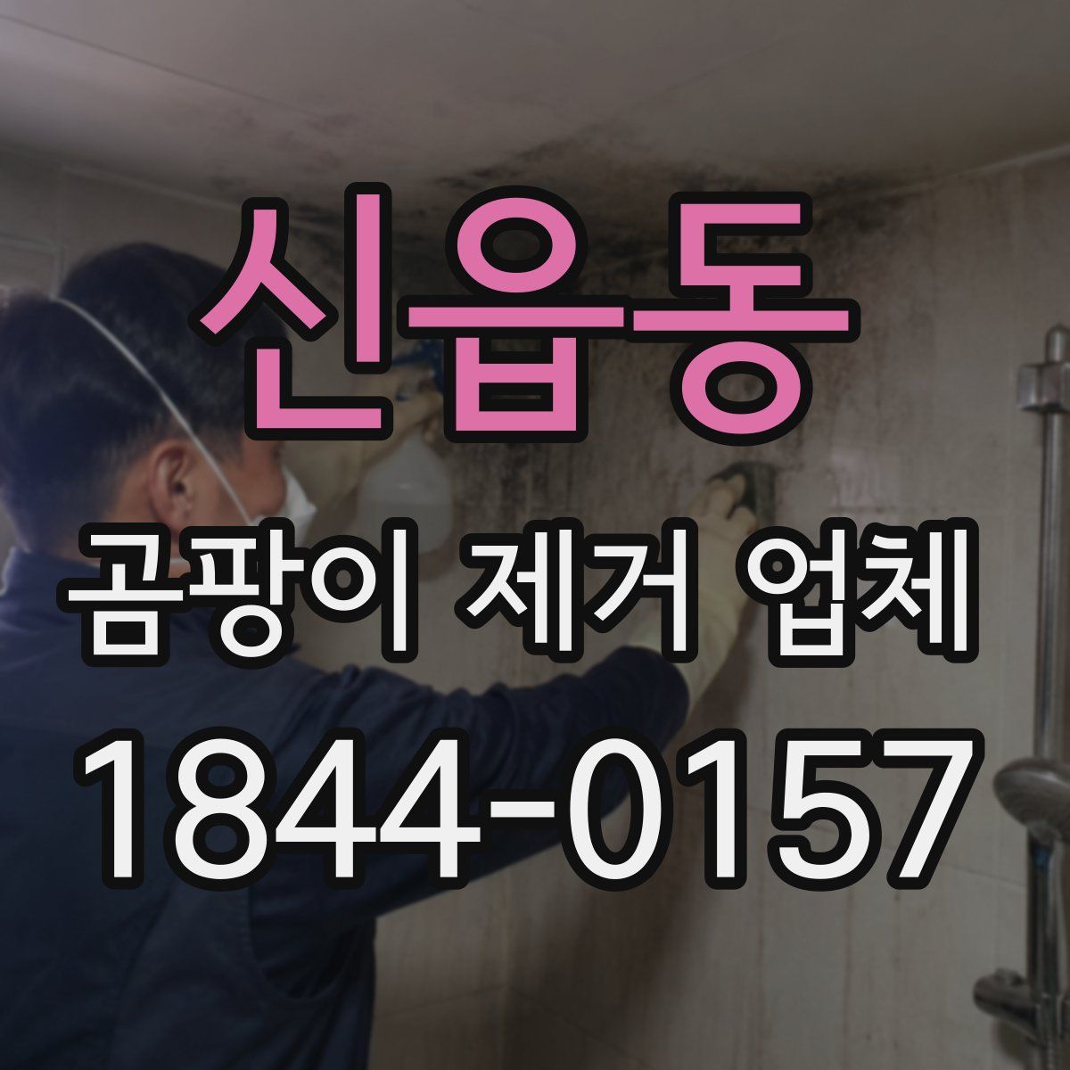 신읍동 곰팡이 제거 업체