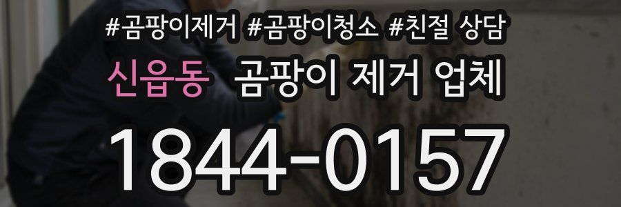 신읍동 곰팡이 제거 업체
