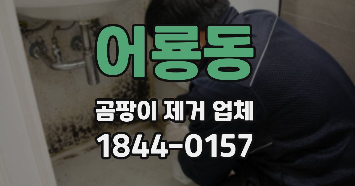 어룡동 곰팡이 제거 업체