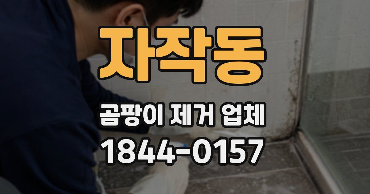 자작동 곰팡이 제거 업체