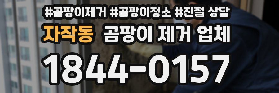 자작동 곰팡이 제거 업체