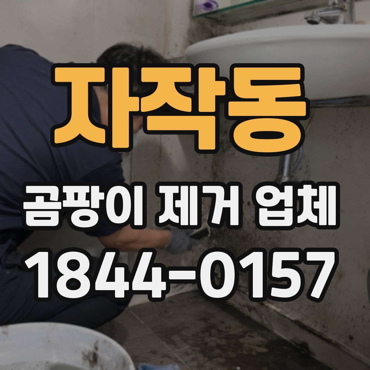 자작동 곰팡이 제거 업체