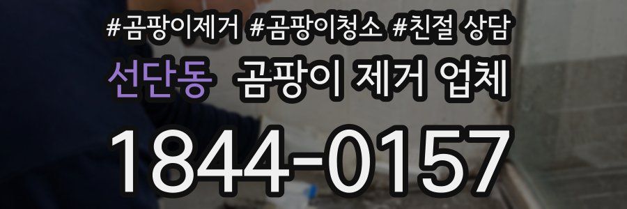 선단동 곰팡이 제거 업체