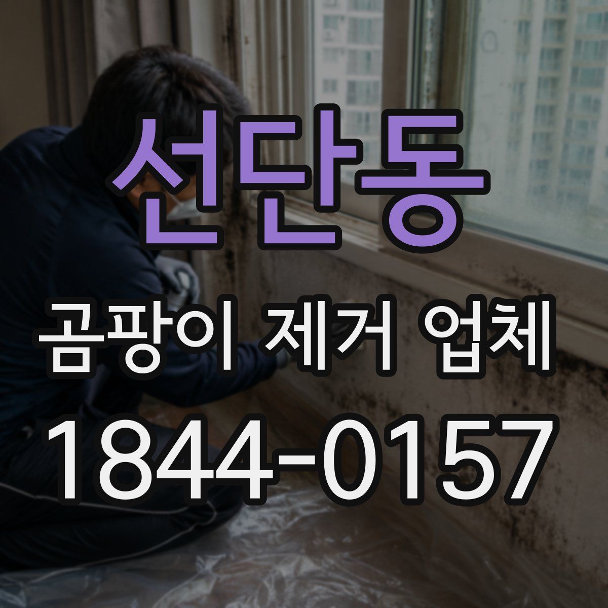 선단동 곰팡이 제거 업체