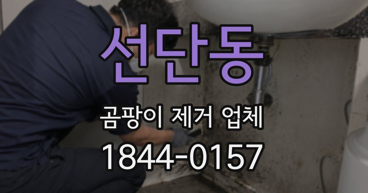 선단동 곰팡이 제거 업체