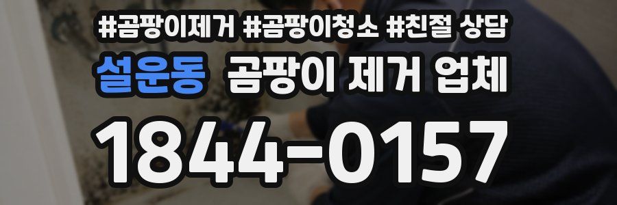 설운동 곰팡이 제거 업체
