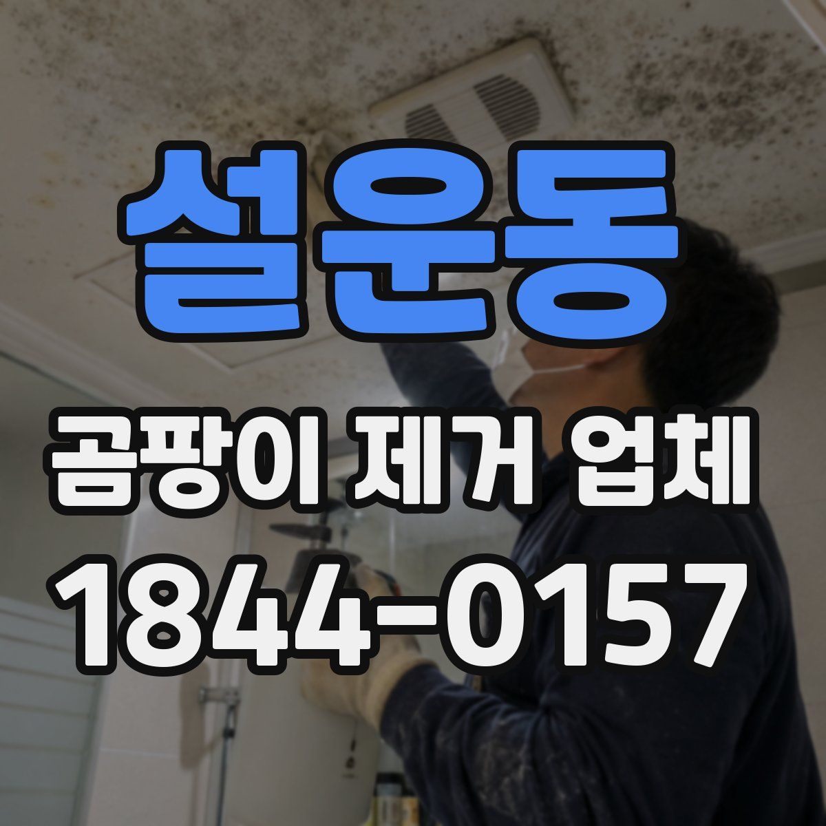 설운동 곰팡이 제거 업체
