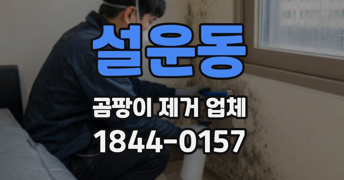 설운동 곰팡이 제거 업체