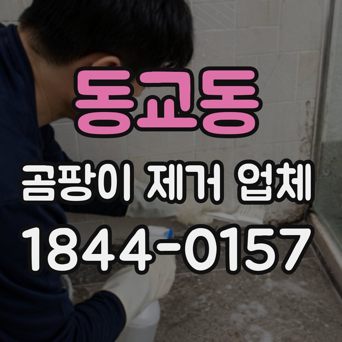 동교동 곰팡이 제거 업체