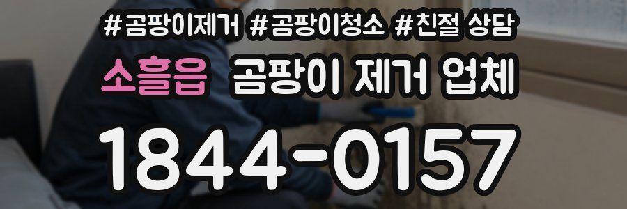 소흘읍 곰팡이 제거 업체