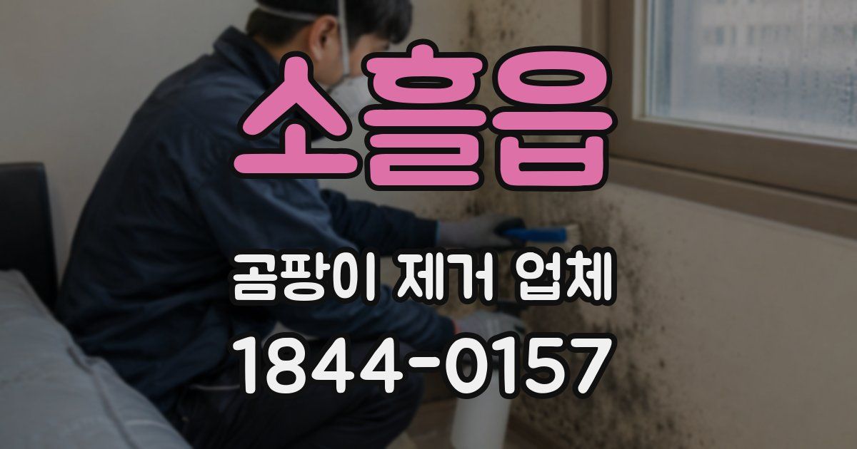 소흘읍 곰팡이 제거 업체
