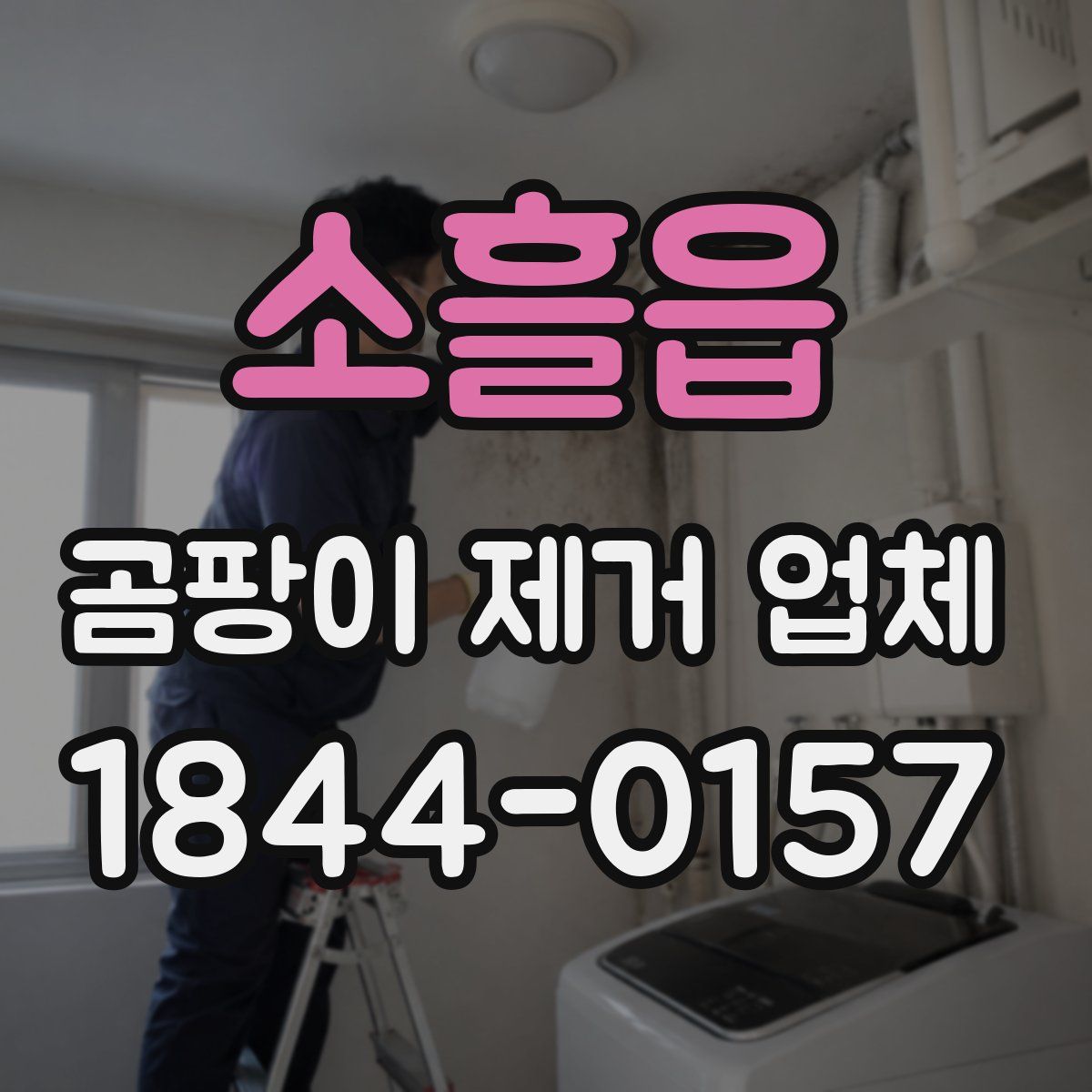 소흘읍 곰팡이 제거 업체