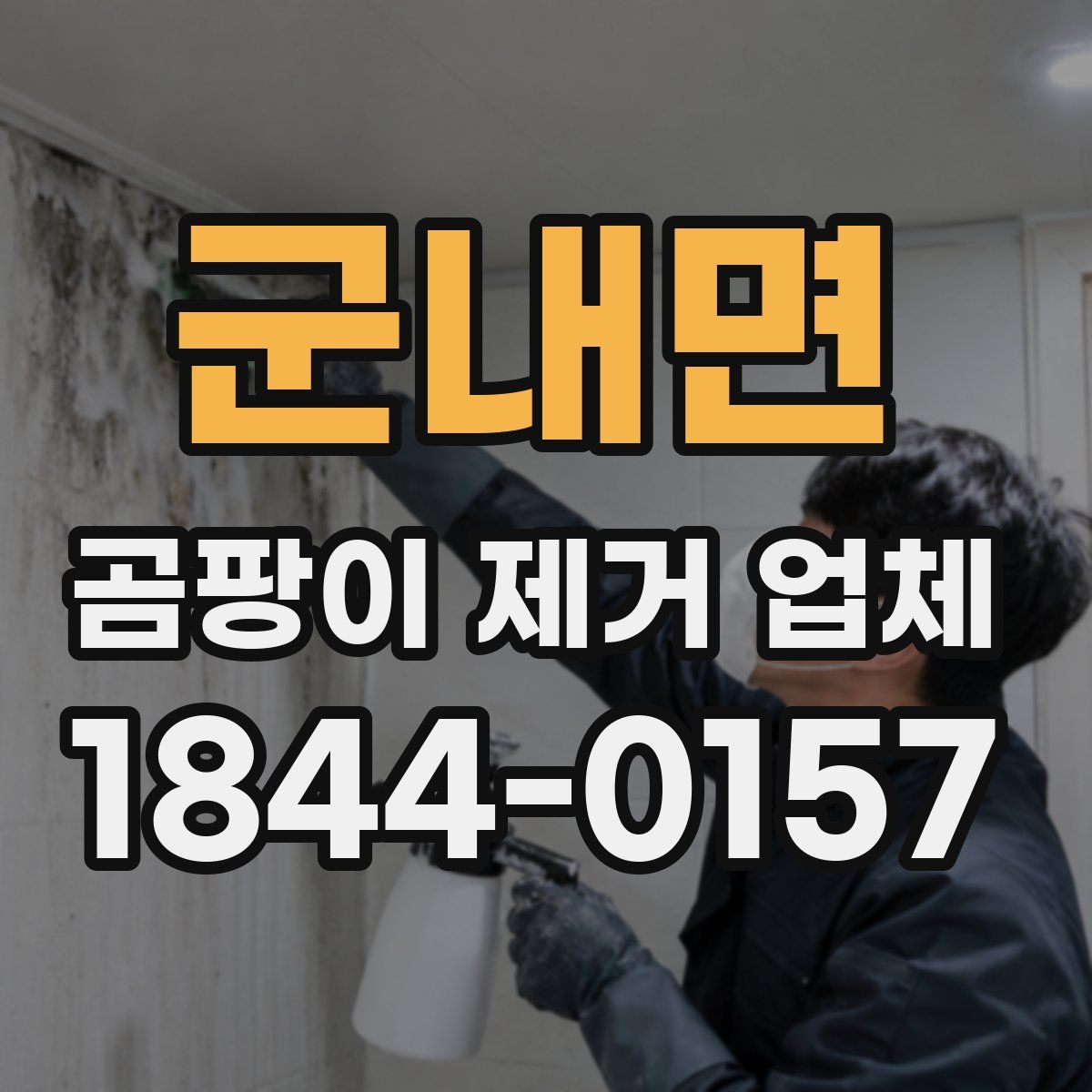 군내면 곰팡이 제거 업체