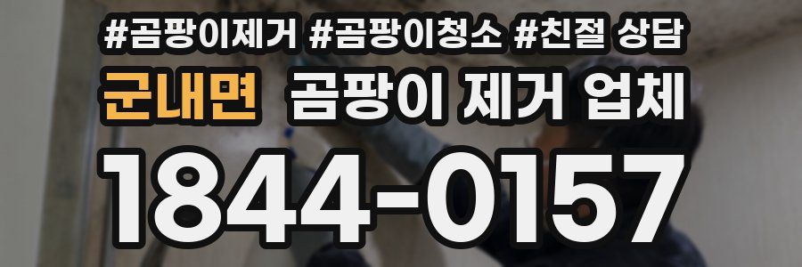 군내면 곰팡이 제거 업체