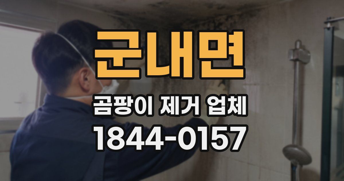 군내면 곰팡이 제거 업체