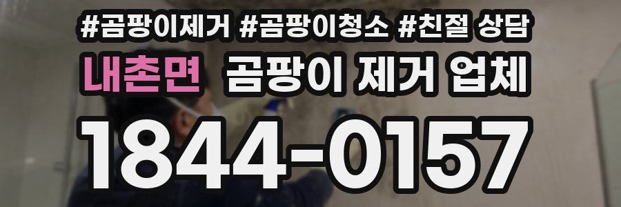 내촌면 곰팡이 제거 업체