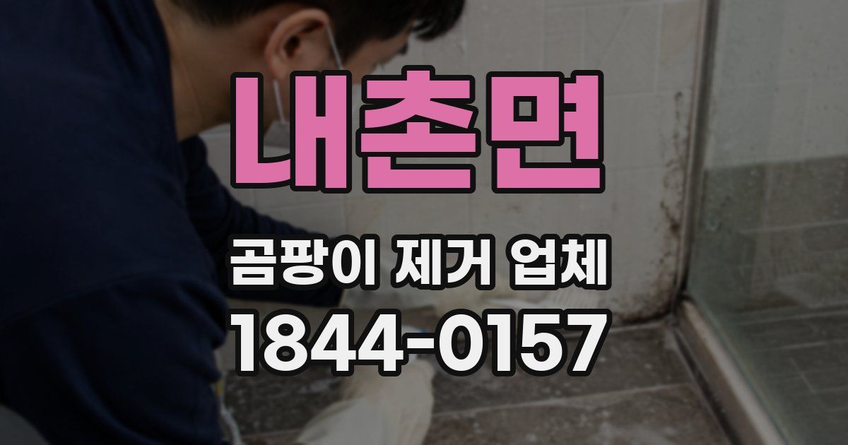 내촌면 곰팡이 제거 업체