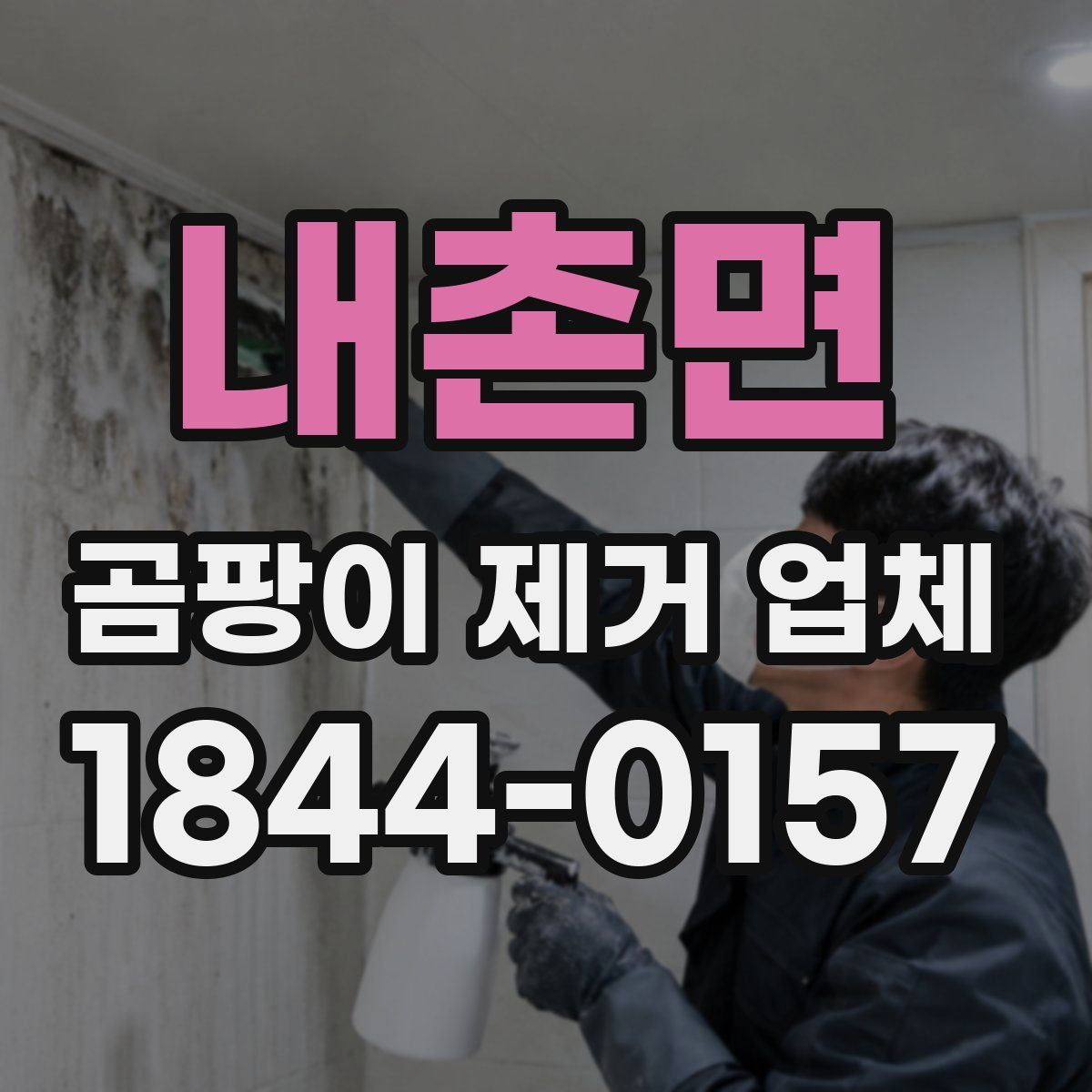 내촌면 곰팡이 제거 업체