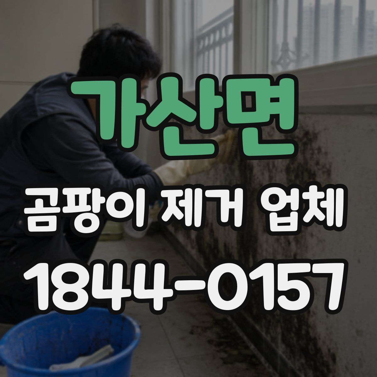 가산면 곰팡이 제거 업체