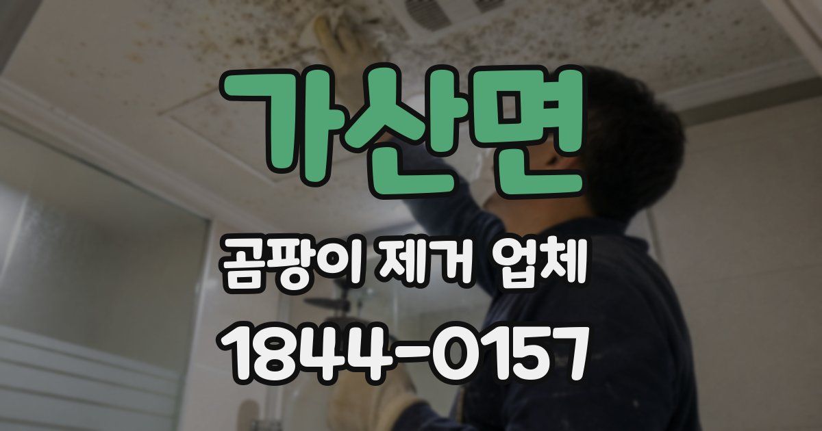 가산면 곰팡이 제거 업체