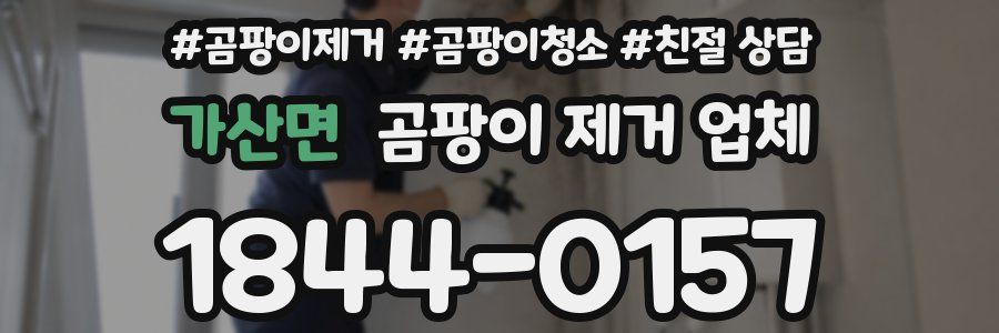 가산면 곰팡이 제거 업체
