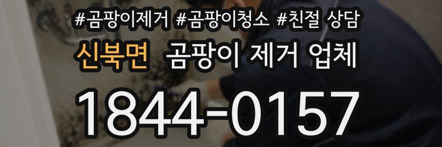 신북면 곰팡이 제거 업체