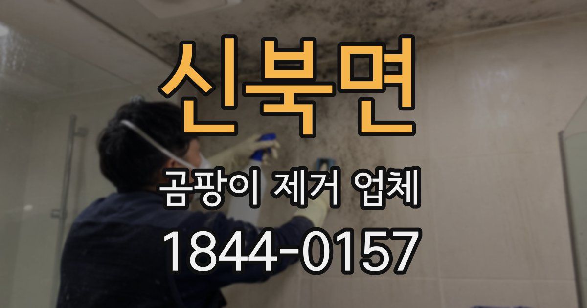 신북면 곰팡이 제거 업체