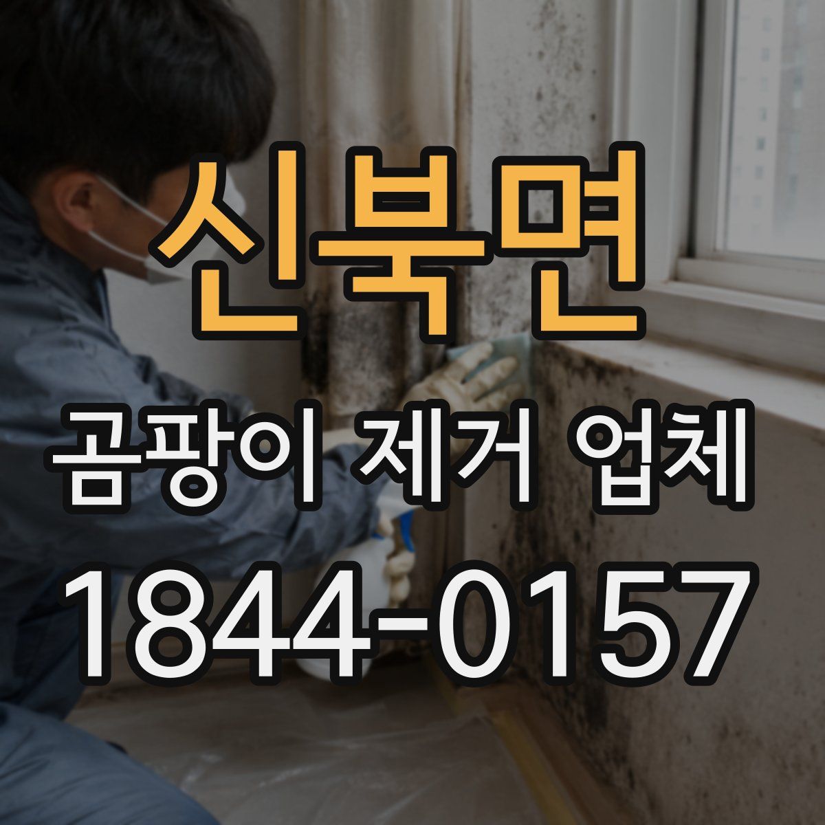 신북면 곰팡이 제거 업체
