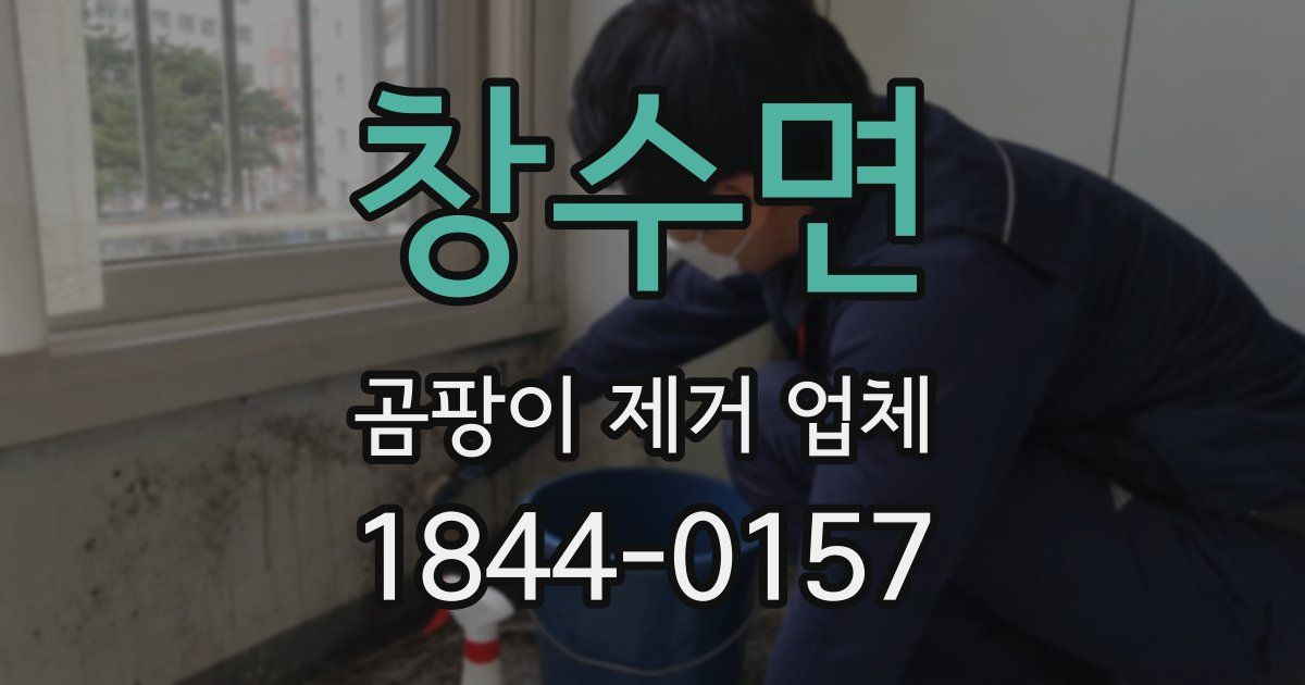 창수면 곰팡이 제거 업체