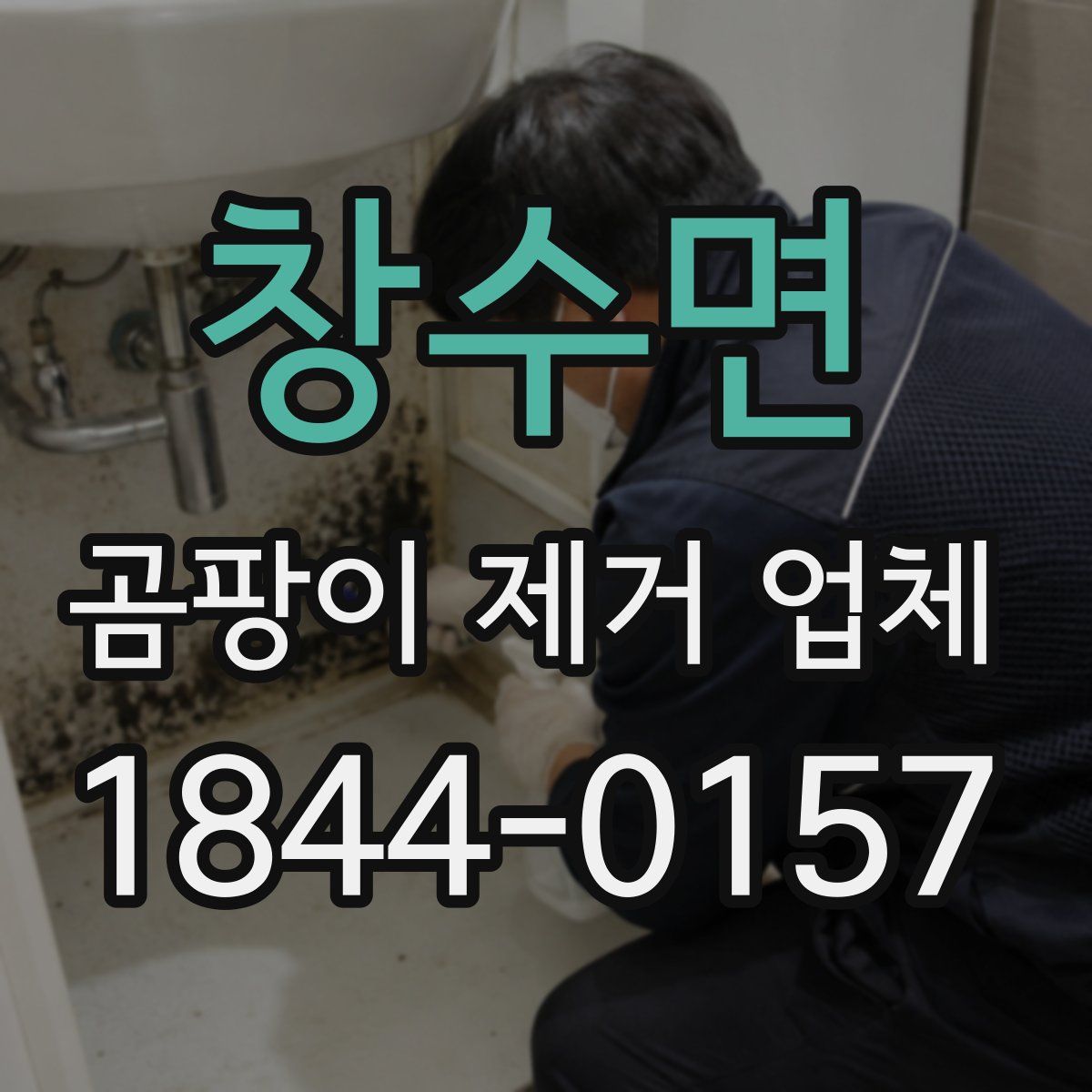 창수면 곰팡이 제거 업체