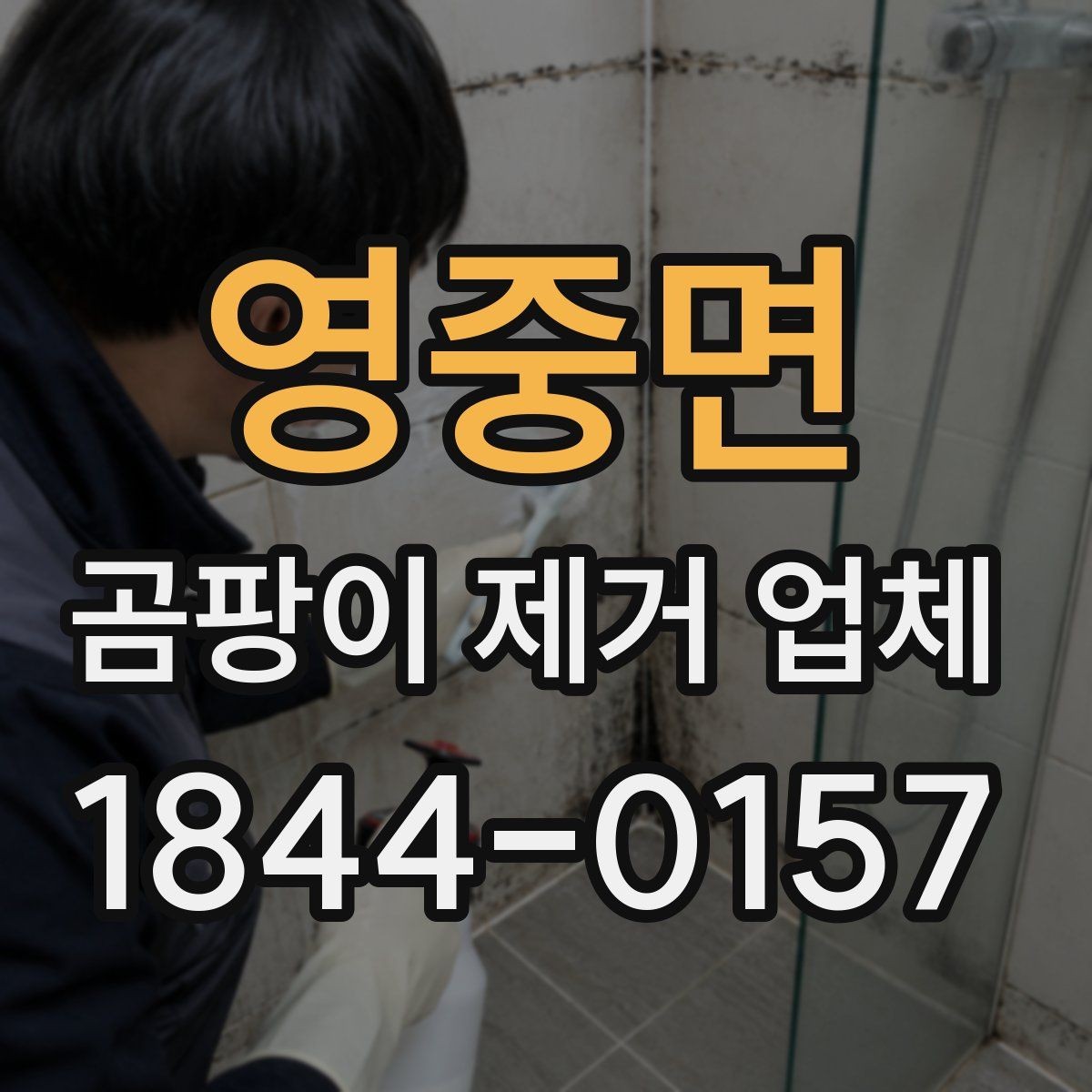 영중면 곰팡이 제거 업체 선택할 때 확인할 점