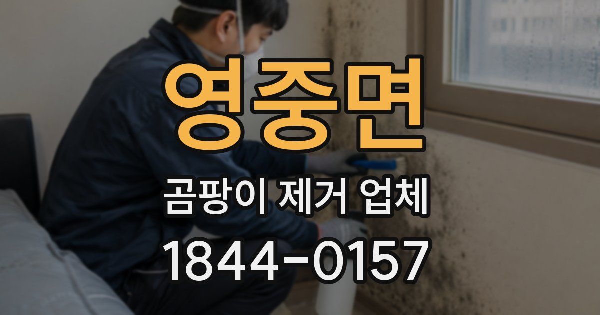 영중면 곰팡이 제거 업체