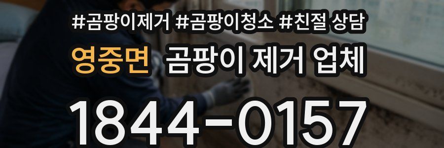 영중면 곰팡이 제거 업체