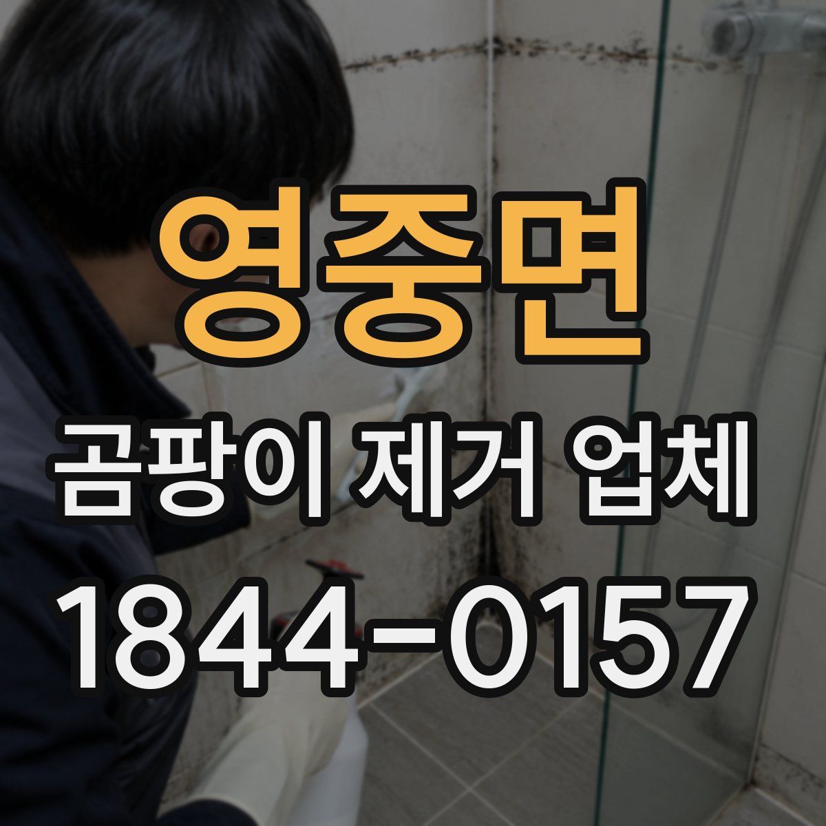 영중면 곰팡이 제거 업체