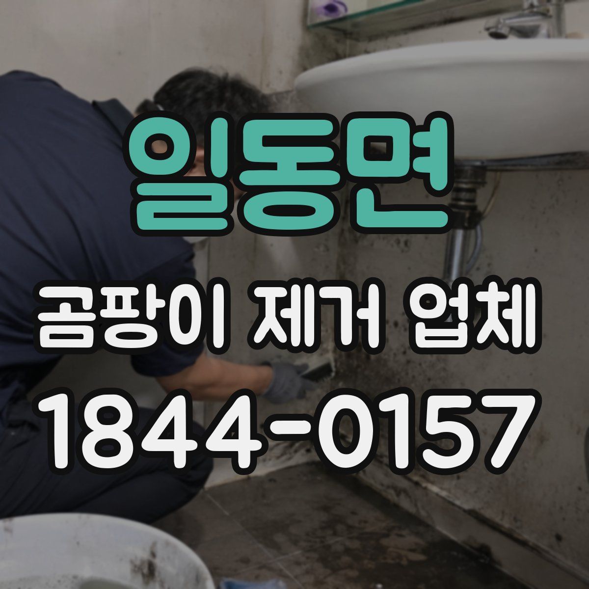 일동면 곰팡이 제거 업체