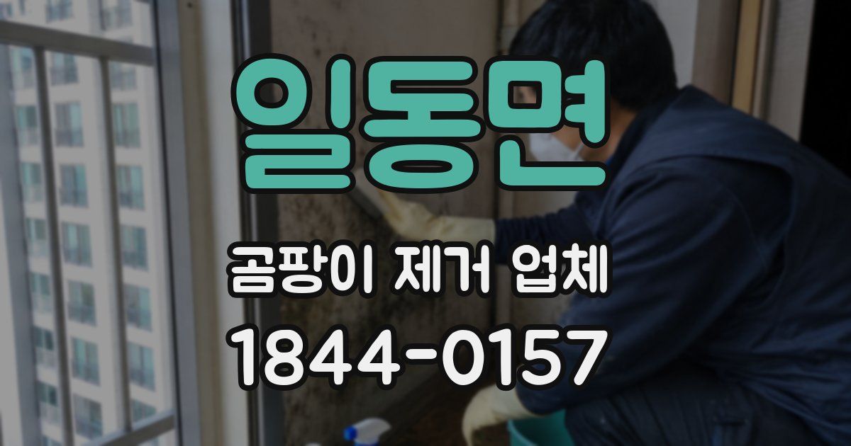 일동면 곰팡이 제거 업체