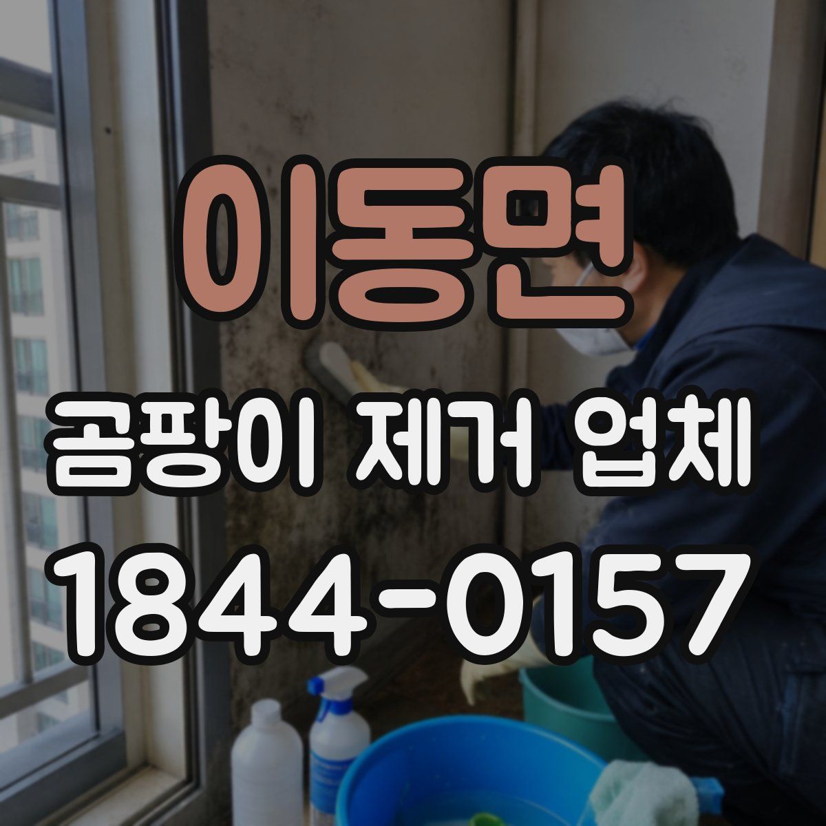 이동면 곰팡이 제거 업체