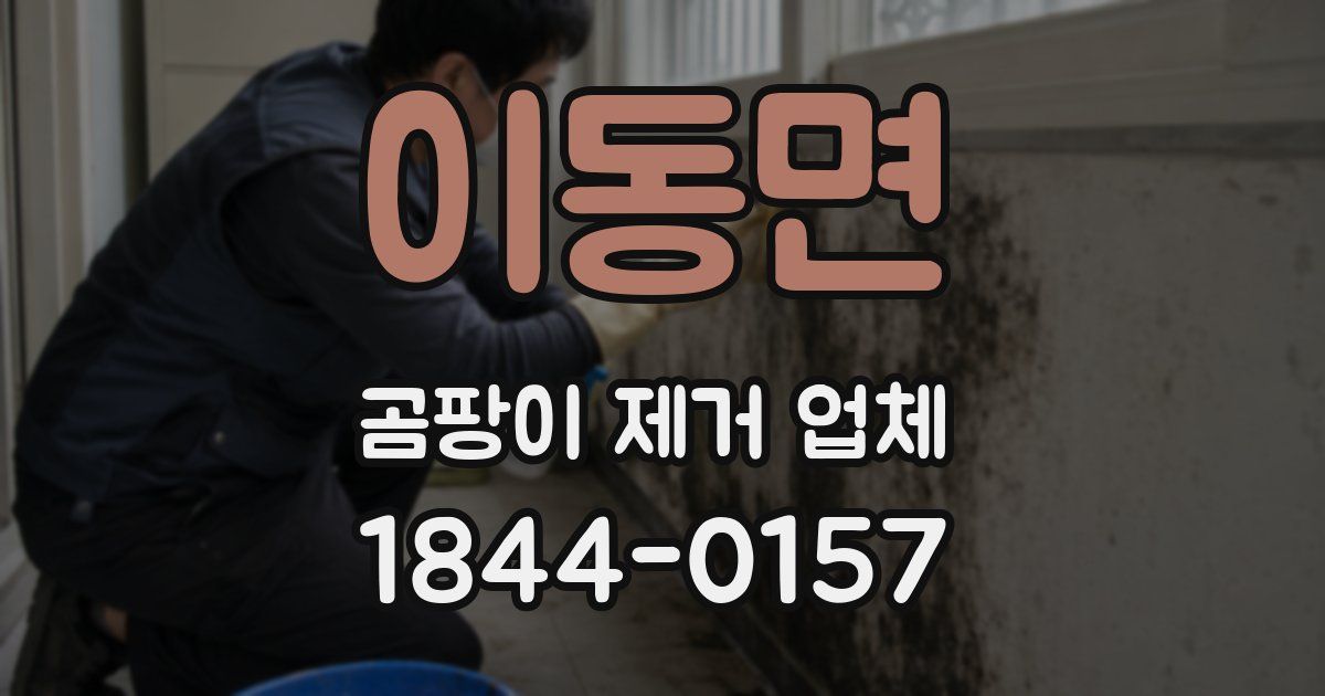이동면 곰팡이 제거 업체
