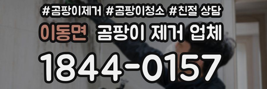 이동면 곰팡이 제거 업체
