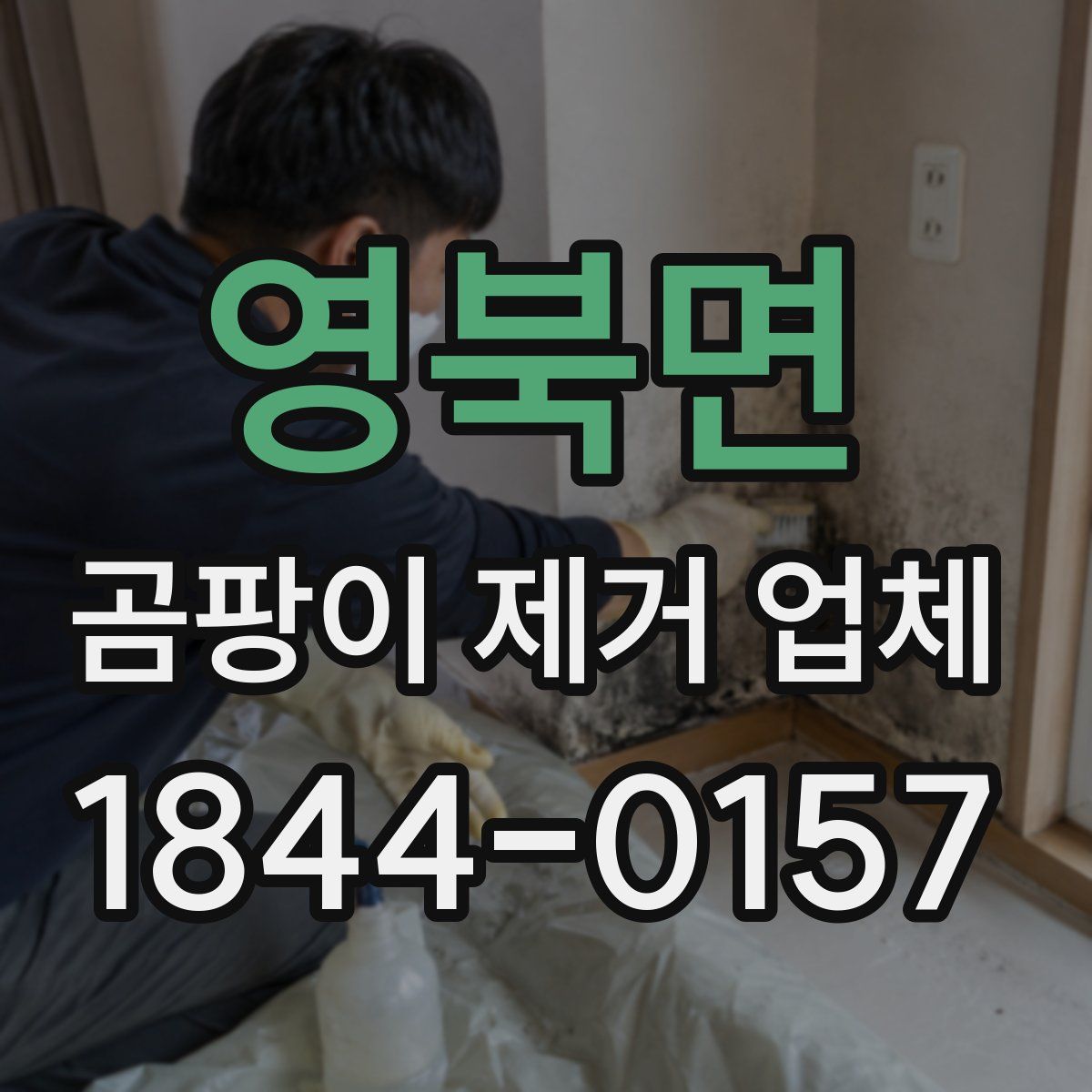 영북면 곰팡이 제거 업체