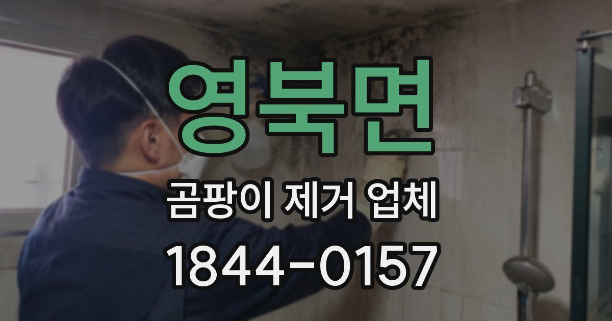 영북면 곰팡이 제거 업체