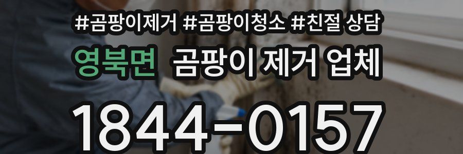영북면 곰팡이 제거 업체