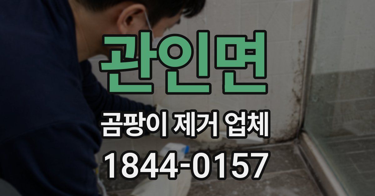 관인면 곰팡이 제거 업체
