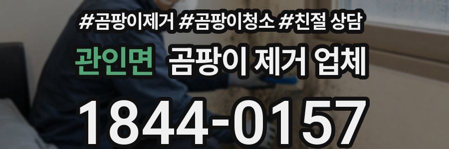 관인면 곰팡이 제거 업체