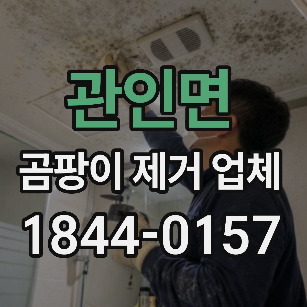 관인면 곰팡이 제거 업체