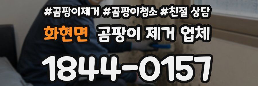 화현면 곰팡이 제거 업체