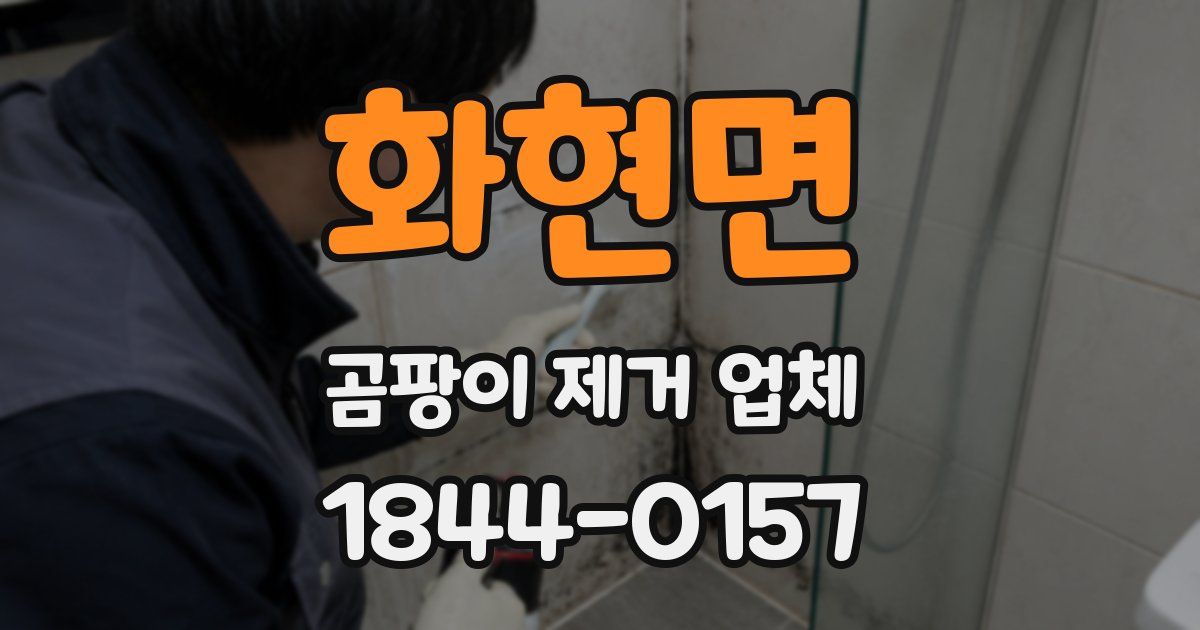 화현면 곰팡이 제거 업체